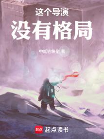 小说《这个导演没有格局》封面