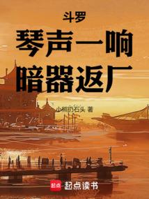 小说《斗罗：琴声一响，暗器返厂》封面