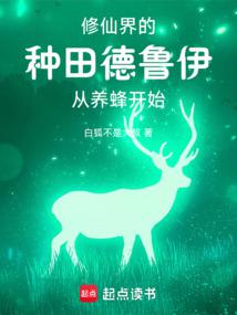 小说《你一个德鲁伊跑去修仙？》封面