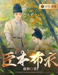 小说《臣本布衣》封面