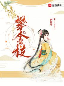 小说《攀金枝》封面