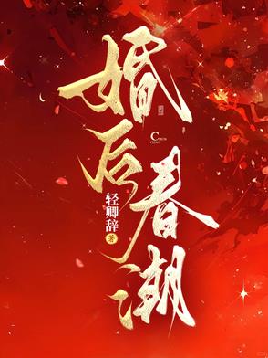 小说《婚后春潮》封面
