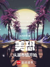 小说《美恐，从瀑布镇开始》封面