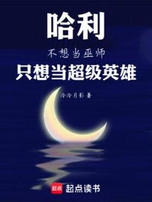 小说《哈利不想当巫师，只想当超级英雄》封面