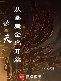 小说《遮天：从圣崖金乌开始》封面
