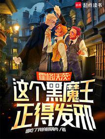 小说《霍格沃茨的黑魔王就业指南》封面