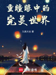 小说《重瞳眼中的完美世界》封面