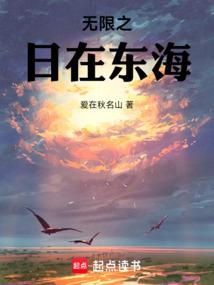小说《无限之日在东海》封面