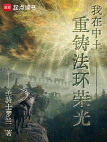小说《我在中土重铸法环荣光》封面