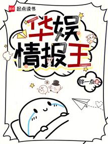 小说《华娱情报王》封面