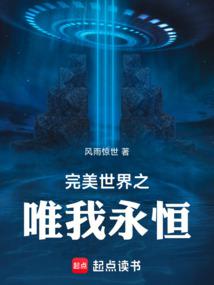 小说《完美世界之唯我永恒》封面