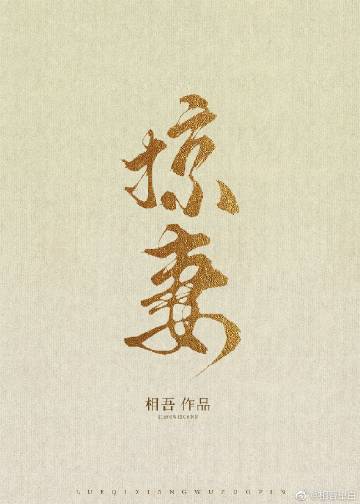 小说《掠妻》封面
