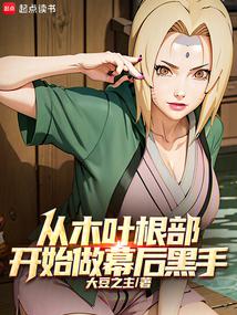 小说《从木叶根部开始做幕后黑手》封面