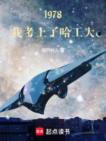 小说《人中之龙》封面