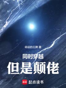 小说《同时穿越，但是颠佬》封面
