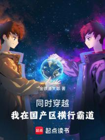 小说《同时穿越：我在国产区横行霸道》封面