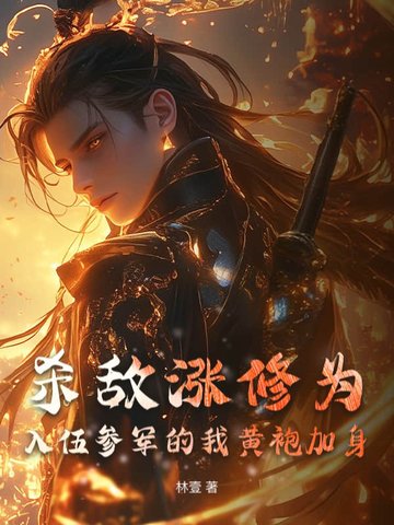 小说《杀敌涨修为，入伍参军的我黄袍加身》封面
