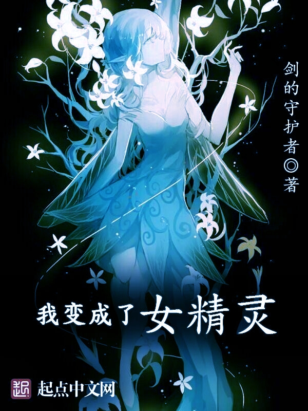 小说《我变成了女精灵》封面