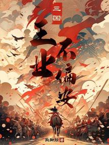 小说《三国：王业不偏安》封面