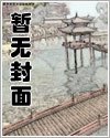 小说《玩物》封面
