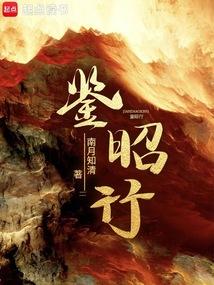 小说《鉴昭行》封面