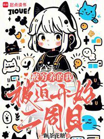 小说《被穷养的我被迫开始二周目》封面
