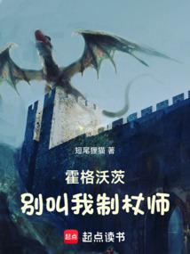 小说《霍格沃茨：别叫我制杖师》封面