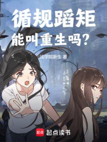小说《循规蹈矩能叫重生吗？》封面