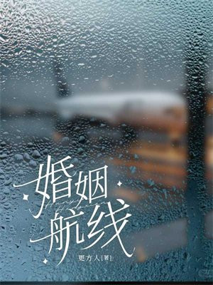 小说《婚姻航线》封面