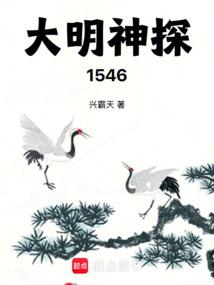 小说《大明神探1546》封面