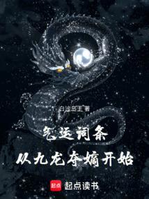 小说《气运词条，从九龙夺嫡开始》封面