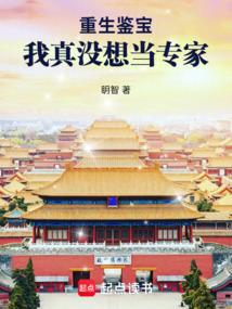 小说《重生鉴宝：我真没想当专家》封面