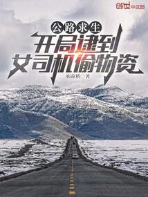 小说《公路求生：开局逮到女司机偷物资》封面