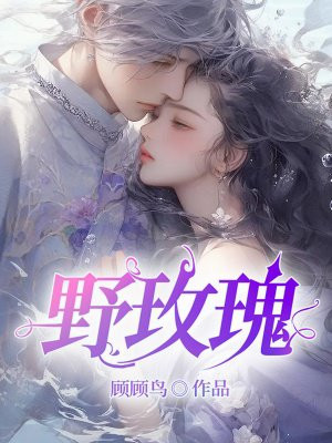小说《野玫瑰》封面