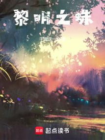 小说《黎明之蛛》封面
