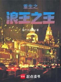 小说《重生之浪王之王》封面