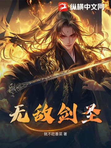 小说《无敌剑圣》封面