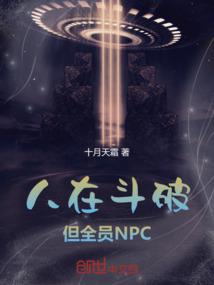 小说《人在斗破，但全员NPC》封面