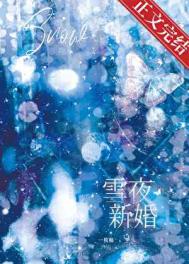 小说《雪夜新婚》封面