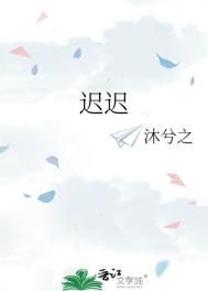 小说《迟迟》封面