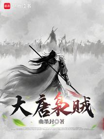 小说《大唐枭贼》封面