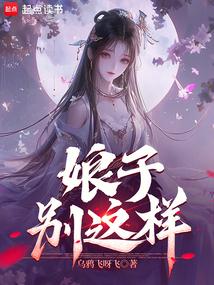 小说《娘子，别这样！》封面