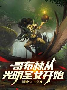小说《哥布林从光明圣女开始》封面