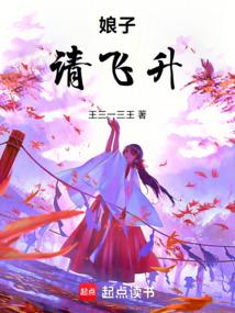 小说《娘子，请飞升》封面