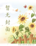 小说《打工皇帝在都市》封面
