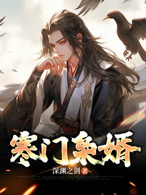 小说《寒门枭婿》封面