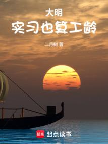 小说《大明：实习也算工龄》封面