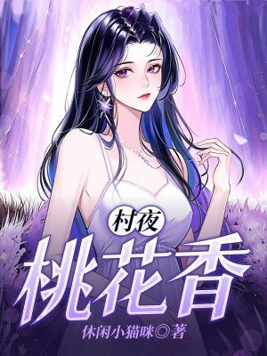 小说《村夜桃花香》封面