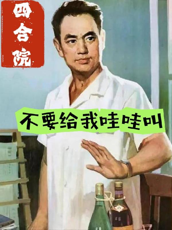 小说《四合院，不要给我哇哇叫》封面