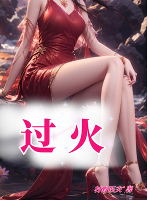 小说《过火》封面